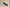 Surefire Warden 5' Full Metal Suppressor (14mm CCW) Black